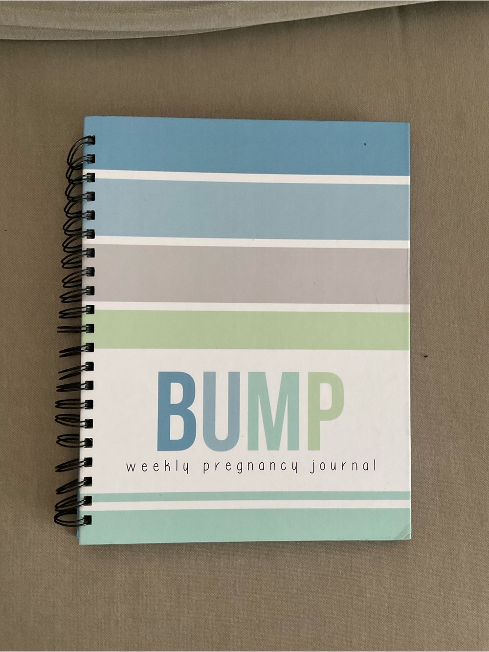 Polka Dot Print Shop BUMP Weekly Pregnancy Journal - Blue & Mint Stripes